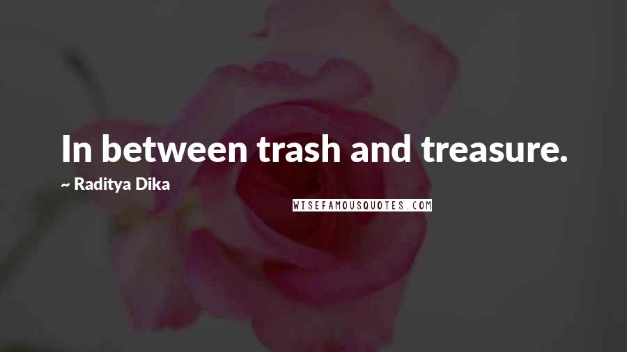 Raditya Dika Quotes: In between trash and treasure.