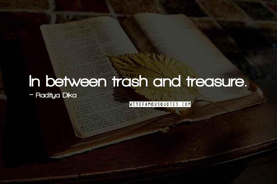 Raditya Dika Quotes: In between trash and treasure.