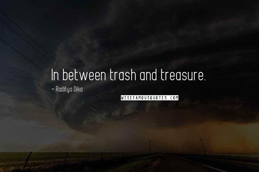 Raditya Dika Quotes: In between trash and treasure.