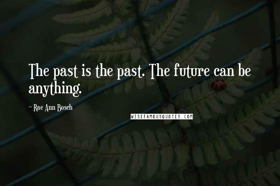 Rae Ann Bosch Quotes: The past is the past. The future can be anything.