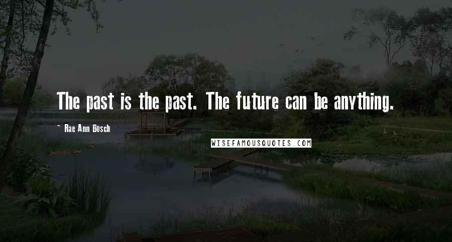 Rae Ann Bosch Quotes: The past is the past. The future can be anything.