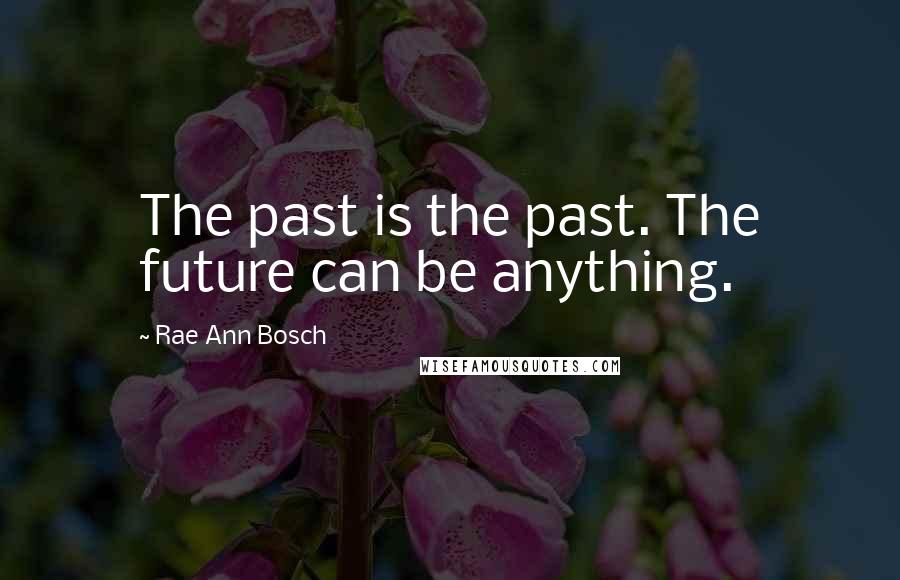 Rae Ann Bosch Quotes: The past is the past. The future can be anything.