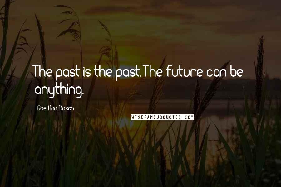 Rae Ann Bosch Quotes: The past is the past. The future can be anything.