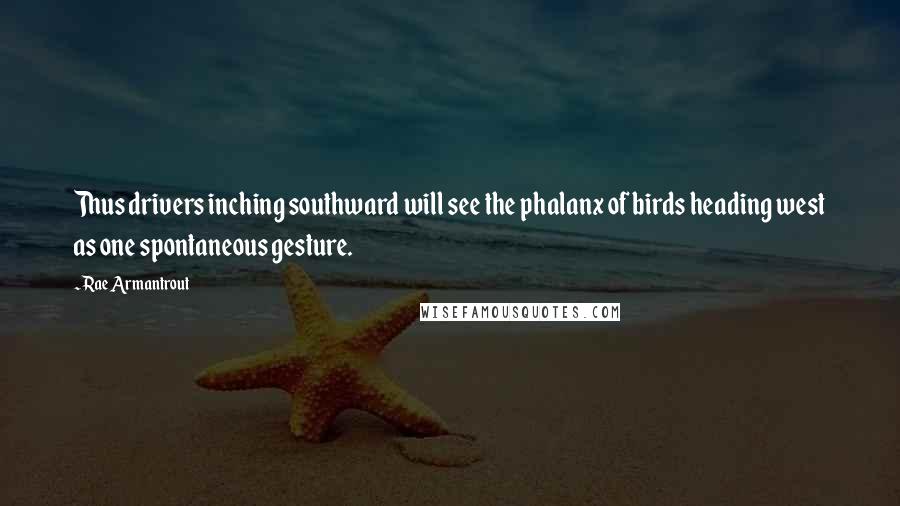 Rae Armantrout Quotes: Thus drivers inching southward will see the phalanx of birds heading west as one spontaneous gesture.