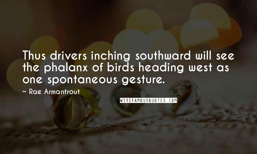 Rae Armantrout Quotes: Thus drivers inching southward will see the phalanx of birds heading west as one spontaneous gesture.