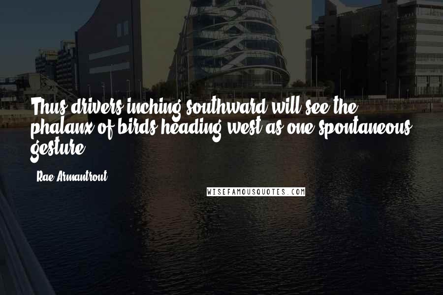 Rae Armantrout Quotes: Thus drivers inching southward will see the phalanx of birds heading west as one spontaneous gesture.