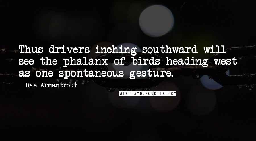 Rae Armantrout Quotes: Thus drivers inching southward will see the phalanx of birds heading west as one spontaneous gesture.