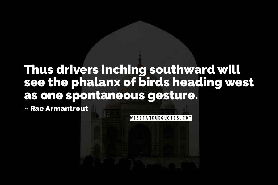 Rae Armantrout Quotes: Thus drivers inching southward will see the phalanx of birds heading west as one spontaneous gesture.