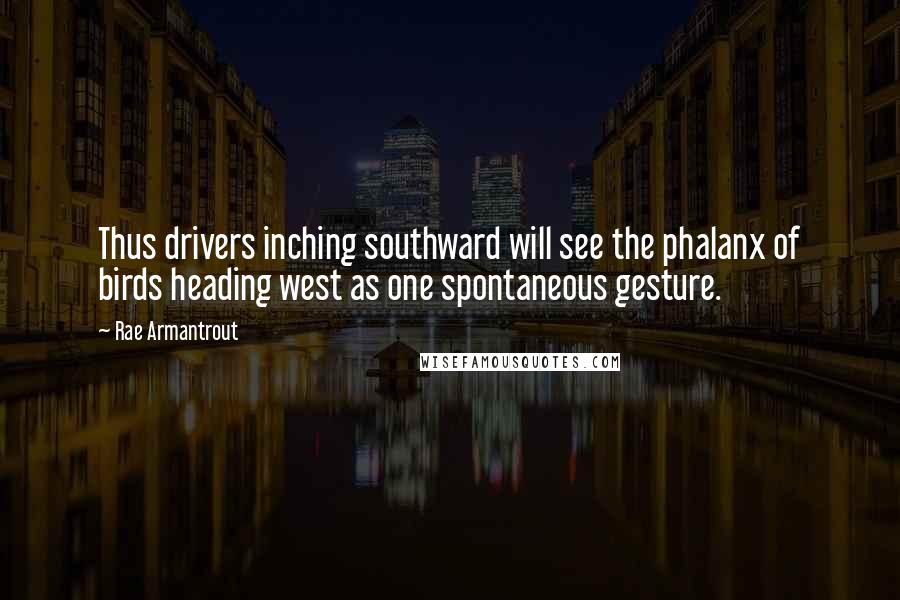 Rae Armantrout Quotes: Thus drivers inching southward will see the phalanx of birds heading west as one spontaneous gesture.