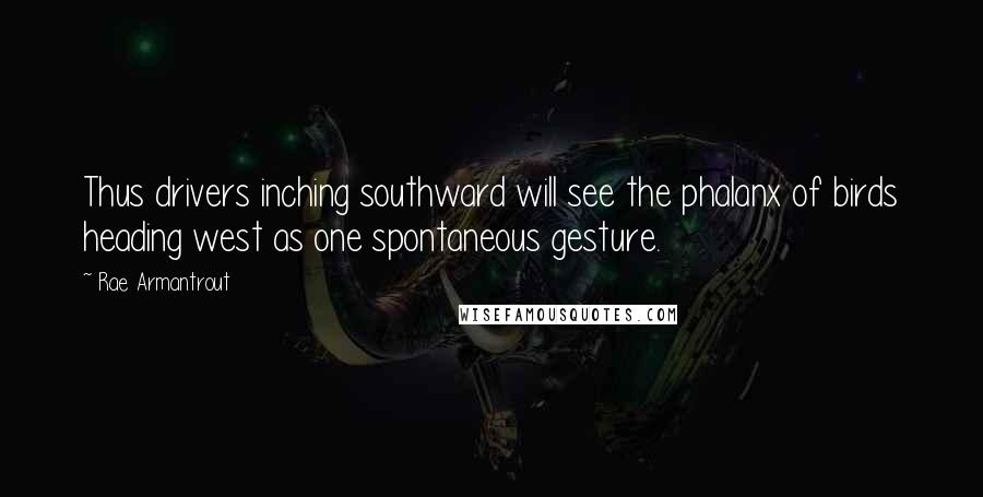 Rae Armantrout Quotes: Thus drivers inching southward will see the phalanx of birds heading west as one spontaneous gesture.