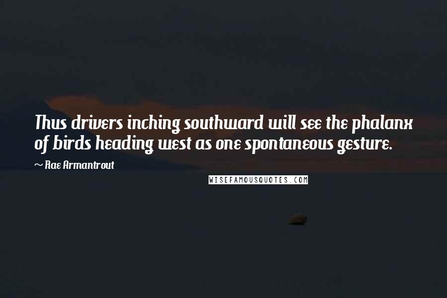 Rae Armantrout Quotes: Thus drivers inching southward will see the phalanx of birds heading west as one spontaneous gesture.