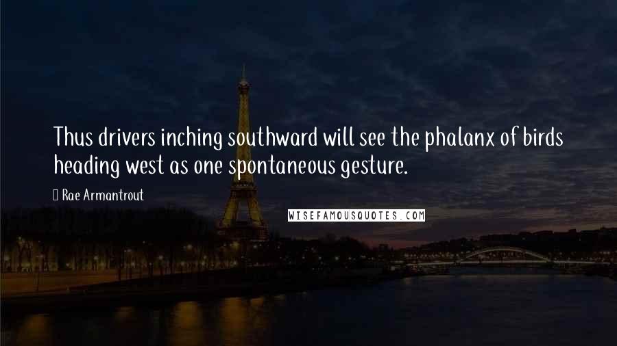 Rae Armantrout Quotes: Thus drivers inching southward will see the phalanx of birds heading west as one spontaneous gesture.