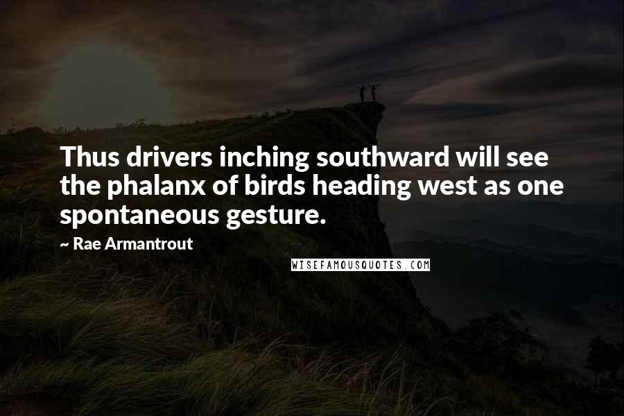 Rae Armantrout Quotes: Thus drivers inching southward will see the phalanx of birds heading west as one spontaneous gesture.