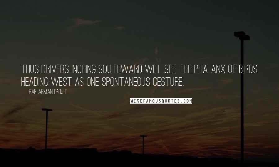 Rae Armantrout Quotes: Thus drivers inching southward will see the phalanx of birds heading west as one spontaneous gesture.