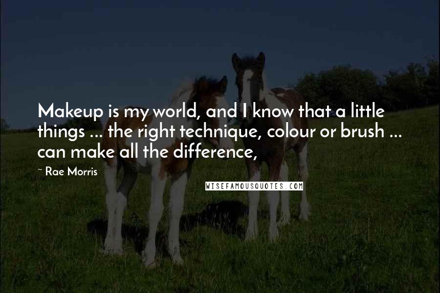 Rae Morris Quotes: Makeup is my world, and I know that a little things ... the right technique, colour or brush ... can make all the difference,