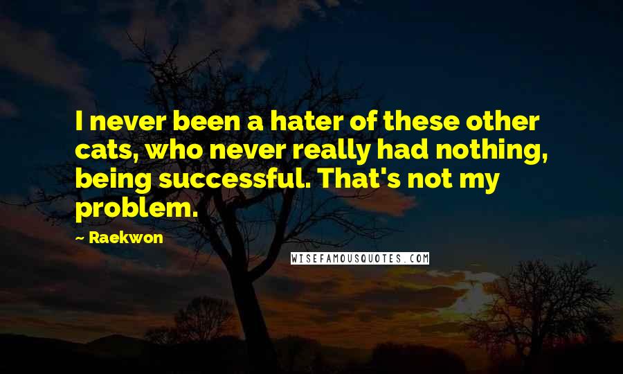 Raekwon Quotes: I never been a hater of these other cats, who never really had nothing, being successful. That's not my problem.