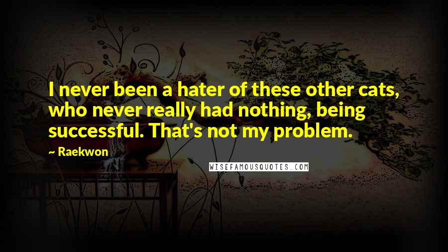 Raekwon Quotes: I never been a hater of these other cats, who never really had nothing, being successful. That's not my problem.