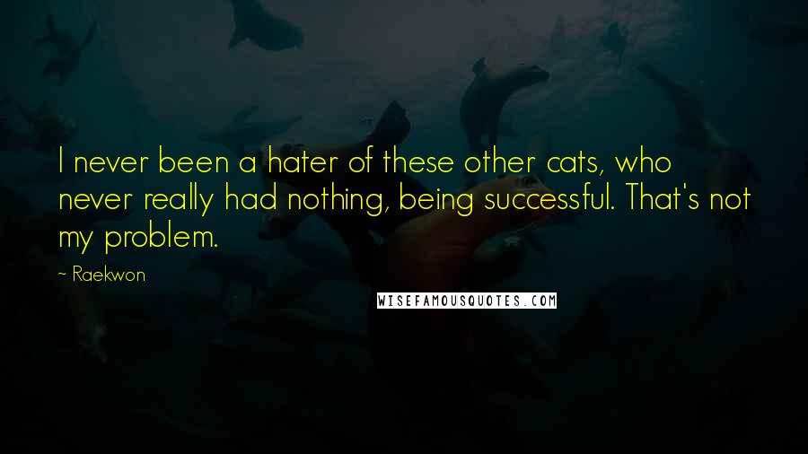 Raekwon Quotes: I never been a hater of these other cats, who never really had nothing, being successful. That's not my problem.
