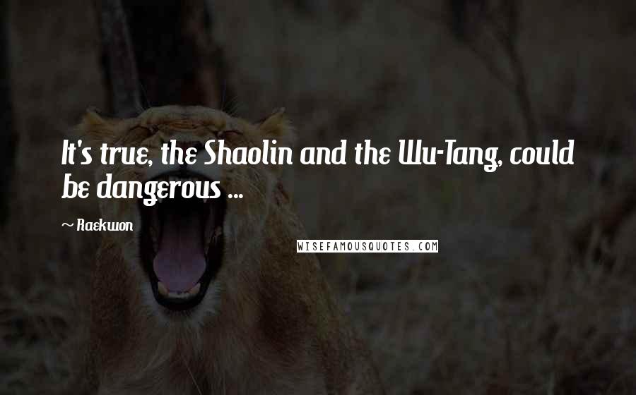 Raekwon Quotes: It's true, the Shaolin and the Wu-Tang, could be dangerous ...