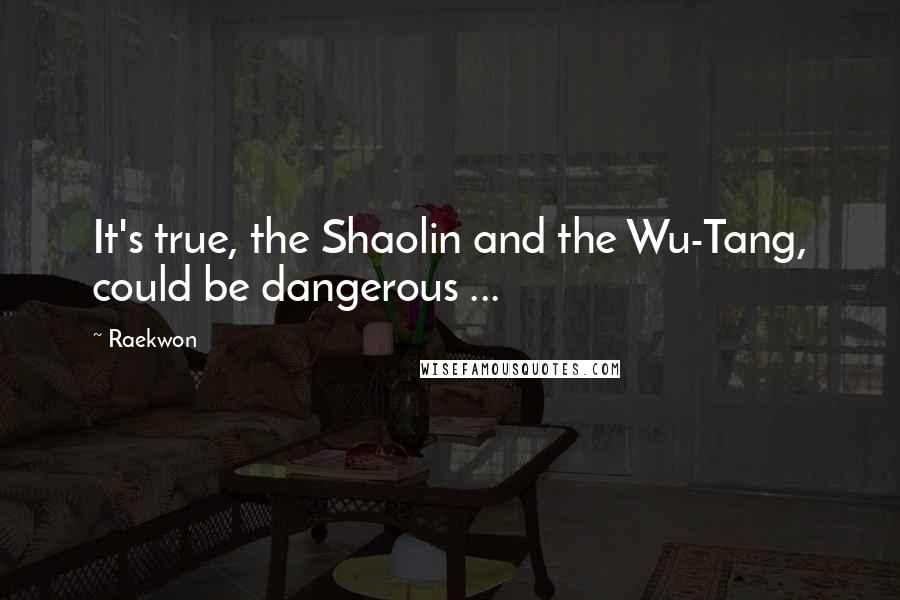 Raekwon Quotes: It's true, the Shaolin and the Wu-Tang, could be dangerous ...