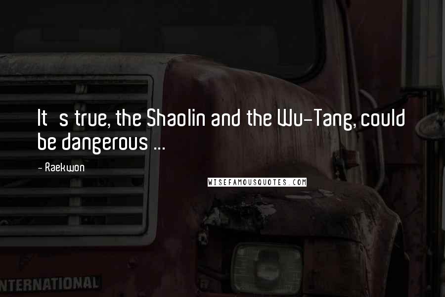 Raekwon Quotes: It's true, the Shaolin and the Wu-Tang, could be dangerous ...