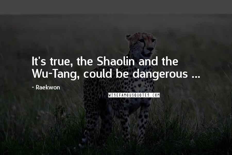 Raekwon Quotes: It's true, the Shaolin and the Wu-Tang, could be dangerous ...