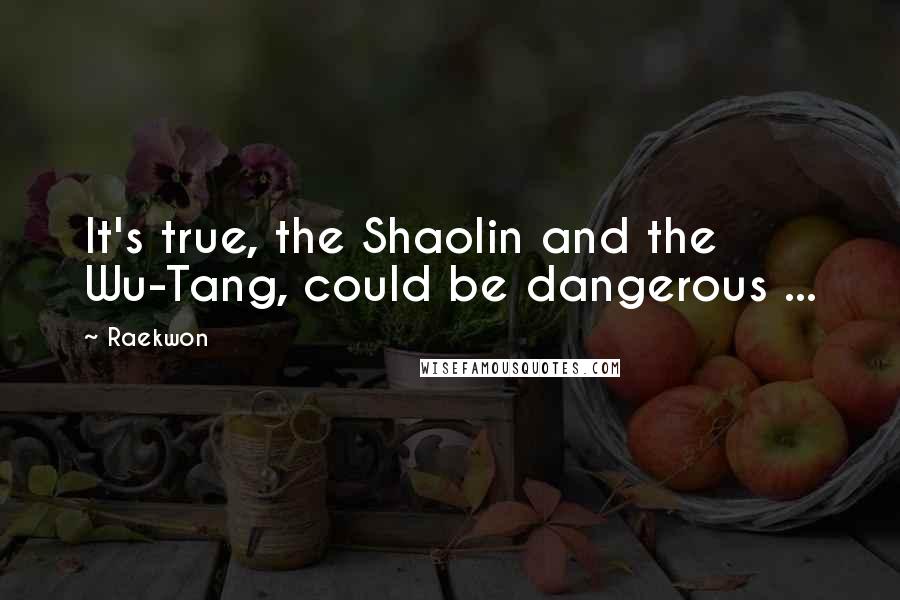 Raekwon Quotes: It's true, the Shaolin and the Wu-Tang, could be dangerous ...