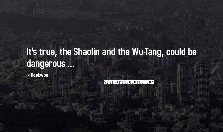 Raekwon Quotes: It's true, the Shaolin and the Wu-Tang, could be dangerous ...