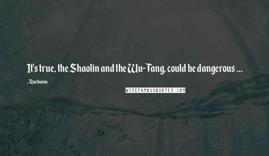 Raekwon Quotes: It's true, the Shaolin and the Wu-Tang, could be dangerous ...