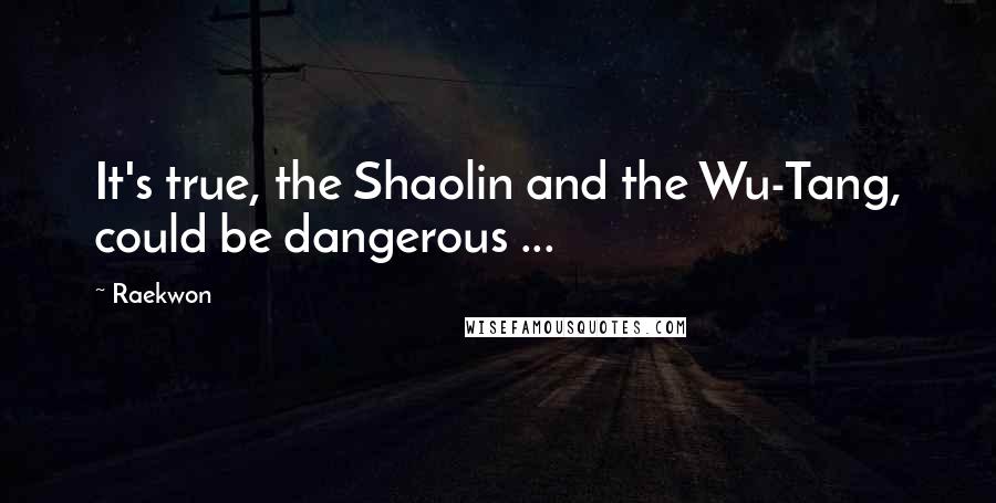 Raekwon Quotes: It's true, the Shaolin and the Wu-Tang, could be dangerous ...