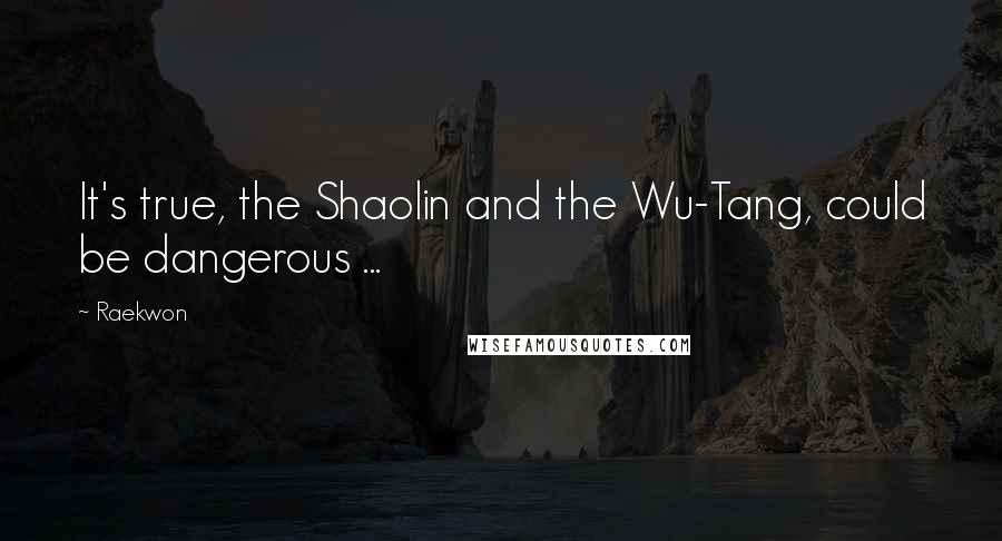 Raekwon Quotes: It's true, the Shaolin and the Wu-Tang, could be dangerous ...