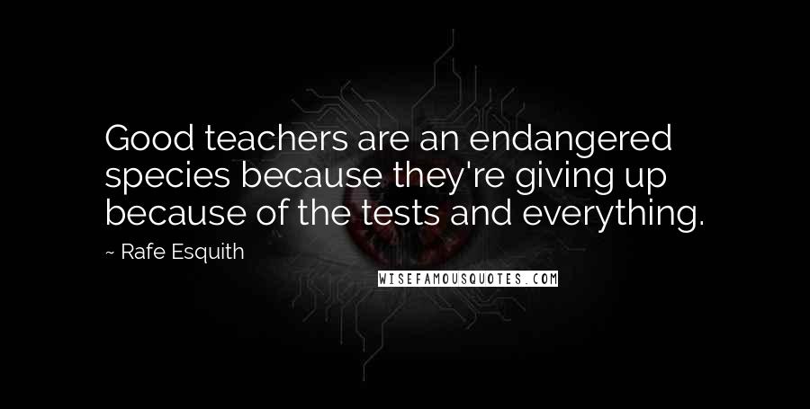 Rafe Esquith Quotes: Good teachers are an endangered species because they're giving up because of the tests and everything.