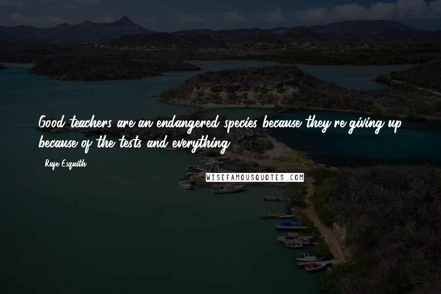 Rafe Esquith Quotes: Good teachers are an endangered species because they're giving up because of the tests and everything.