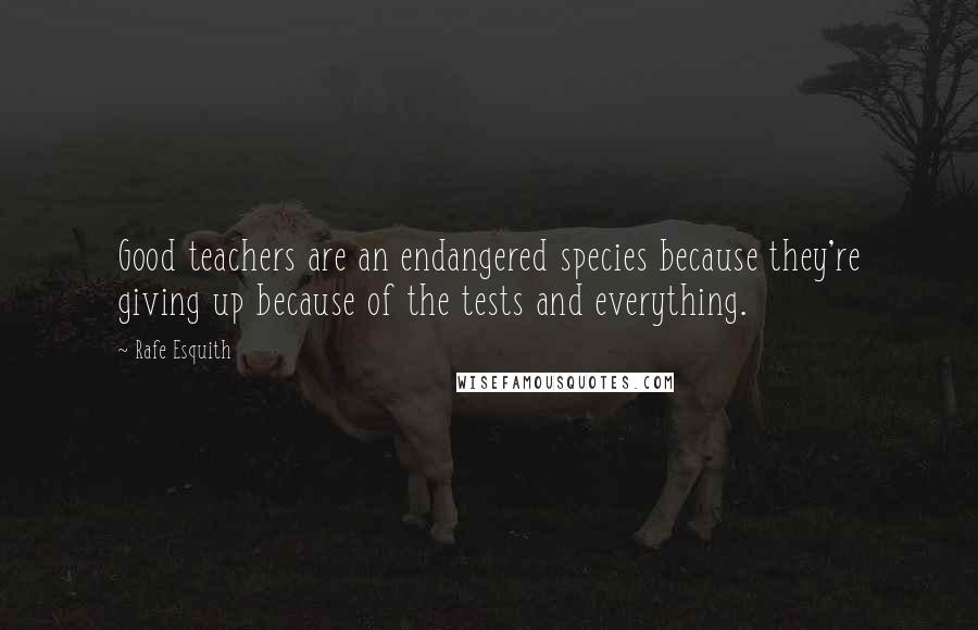 Rafe Esquith Quotes: Good teachers are an endangered species because they're giving up because of the tests and everything.