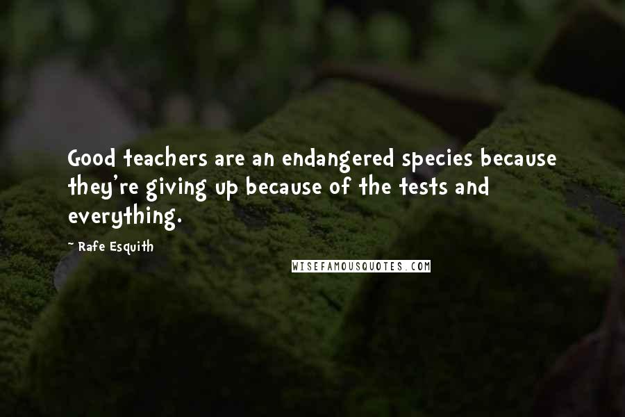 Rafe Esquith Quotes: Good teachers are an endangered species because they're giving up because of the tests and everything.