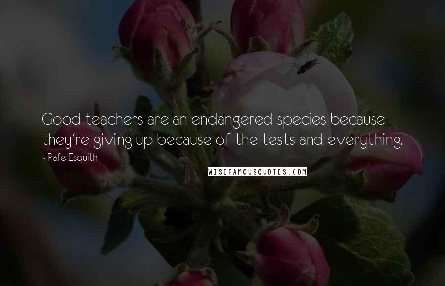 Rafe Esquith Quotes: Good teachers are an endangered species because they're giving up because of the tests and everything.