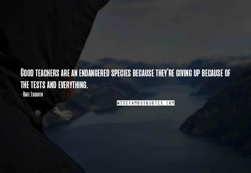 Rafe Esquith Quotes: Good teachers are an endangered species because they're giving up because of the tests and everything.