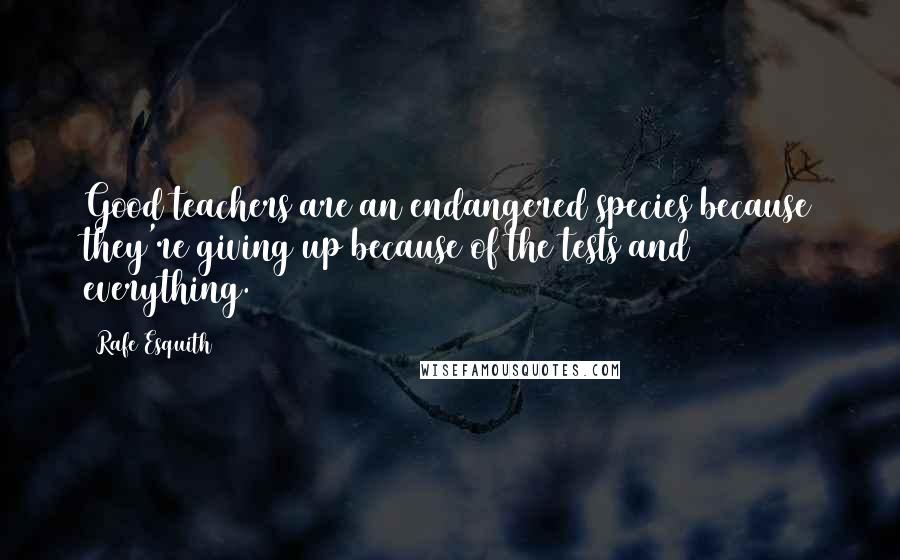 Rafe Esquith Quotes: Good teachers are an endangered species because they're giving up because of the tests and everything.