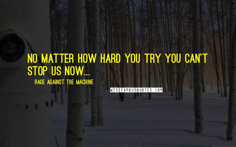 Rage Against The Machine Quotes: No matter how hard you try you can't stop us now...