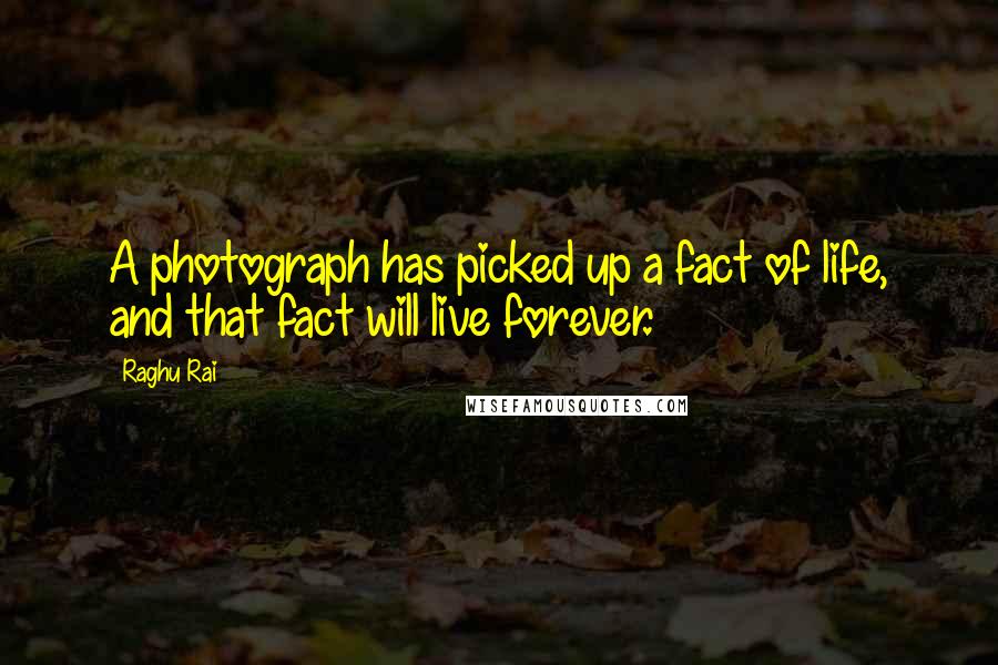 Raghu Rai Quotes: A photograph has picked up a fact of life, and that fact will live forever.