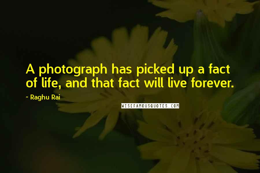 Raghu Rai Quotes: A photograph has picked up a fact of life, and that fact will live forever.