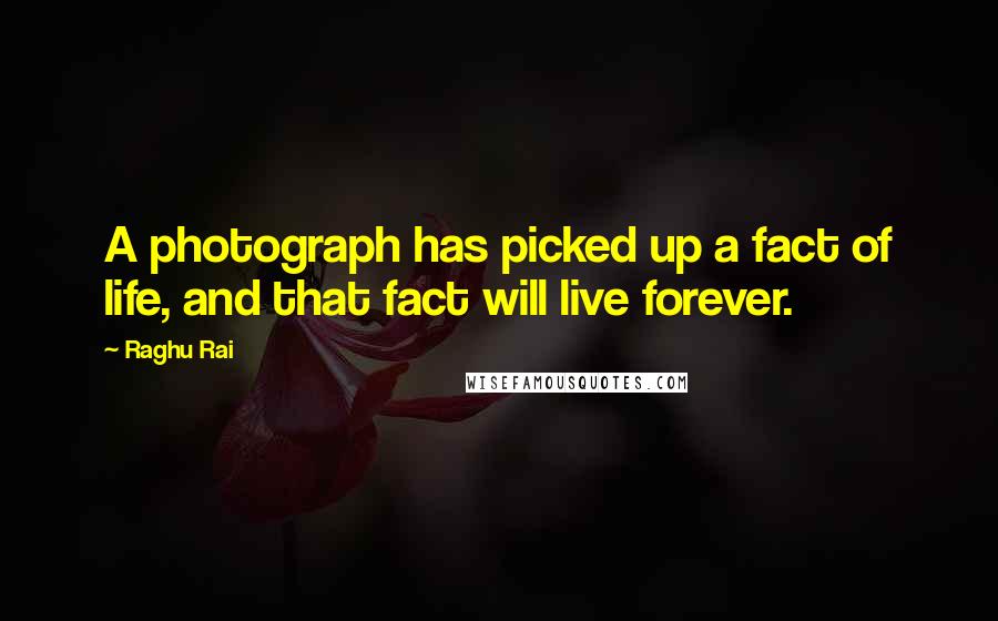 Raghu Rai Quotes: A photograph has picked up a fact of life, and that fact will live forever.