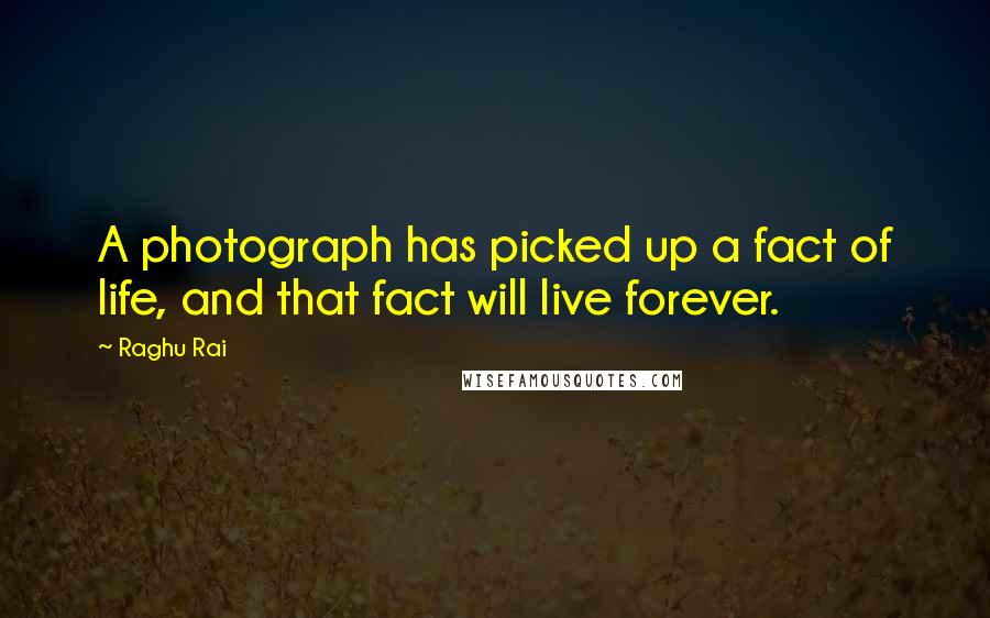 Raghu Rai Quotes: A photograph has picked up a fact of life, and that fact will live forever.