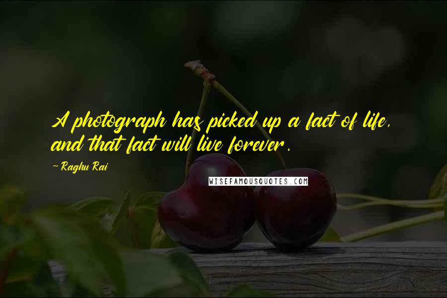 Raghu Rai Quotes: A photograph has picked up a fact of life, and that fact will live forever.