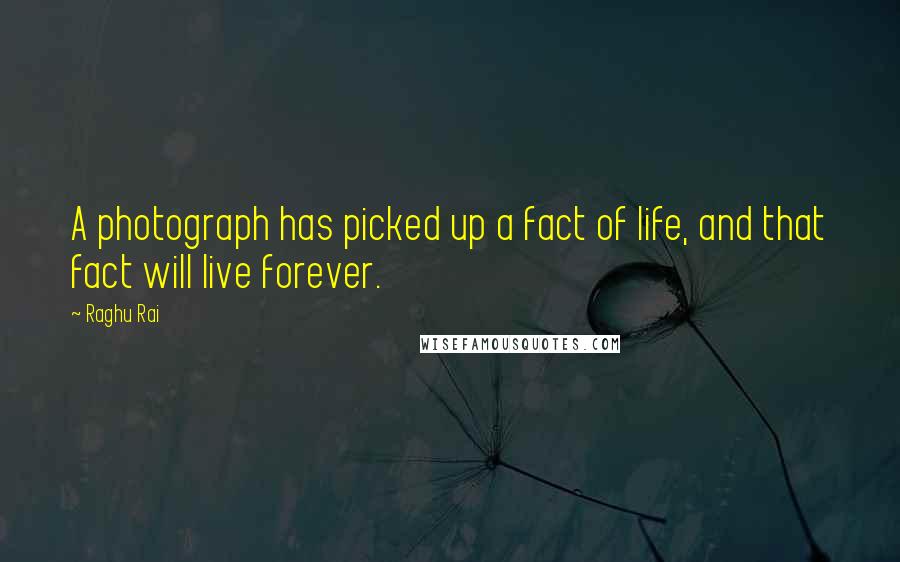 Raghu Rai Quotes: A photograph has picked up a fact of life, and that fact will live forever.