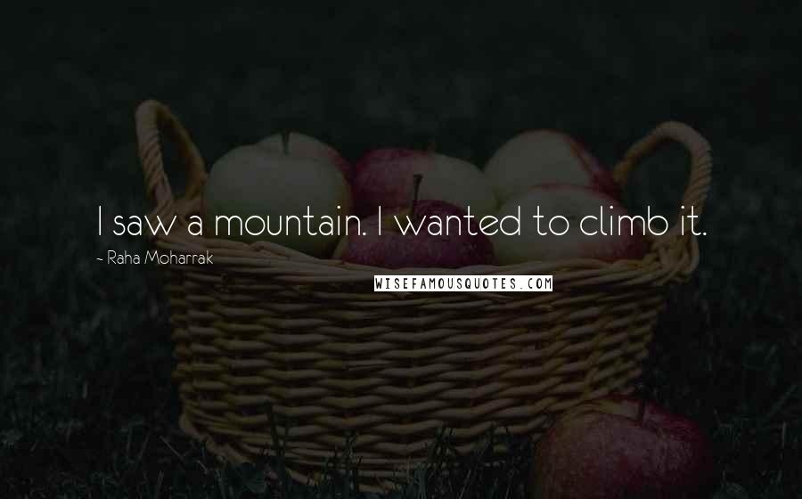 Raha Moharrak Quotes: I saw a mountain. I wanted to climb it.