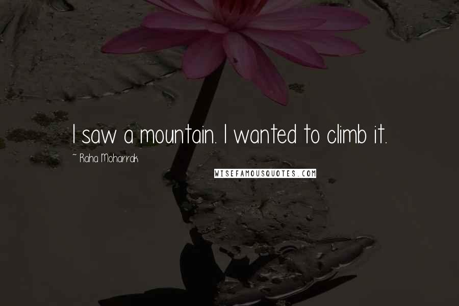 Raha Moharrak Quotes: I saw a mountain. I wanted to climb it.