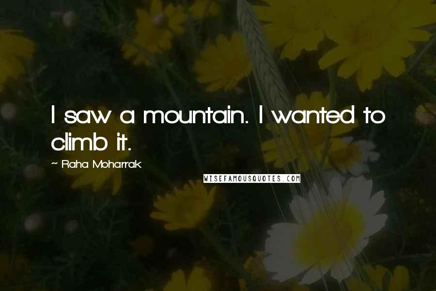 Raha Moharrak Quotes: I saw a mountain. I wanted to climb it.