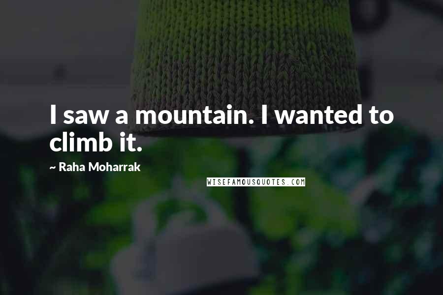 Raha Moharrak Quotes: I saw a mountain. I wanted to climb it.