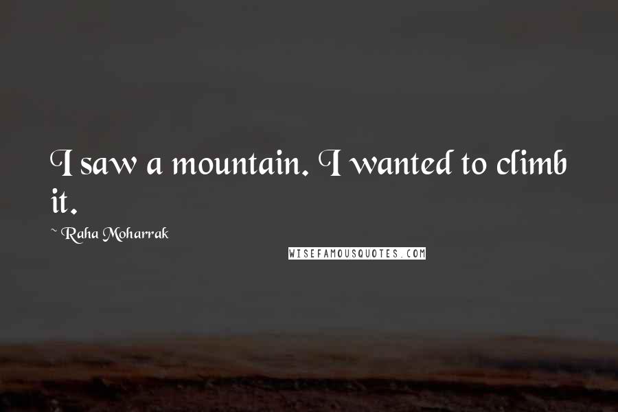 Raha Moharrak Quotes: I saw a mountain. I wanted to climb it.